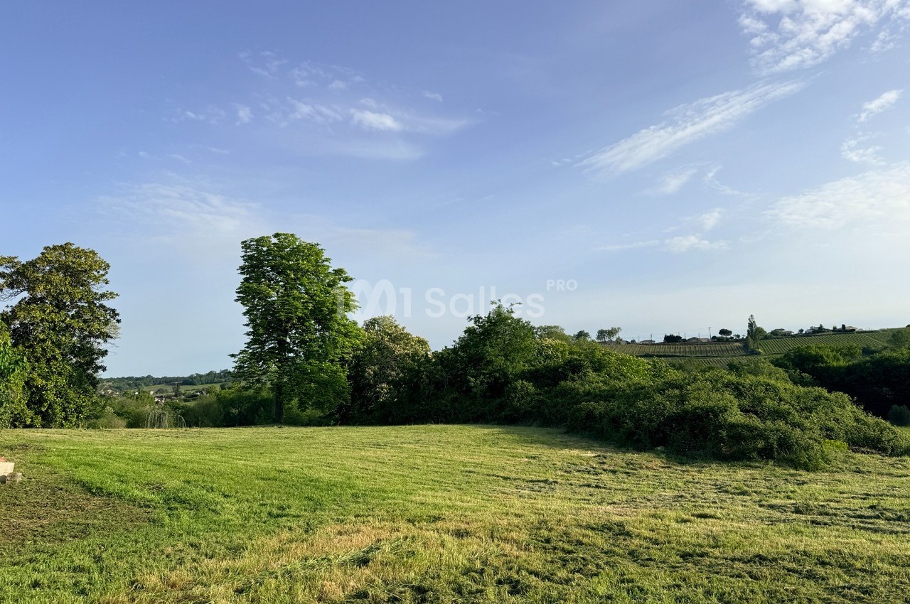 Prairie verdoyante avec quelques arbres et buissons sous un ciel bleu dégagé.