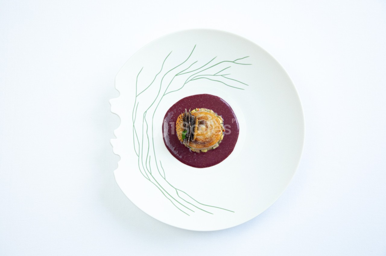 Plat gastronomique présenté sur une assiette blanche décorée, avec une sauce pourpre et une préparation élégante au centre.