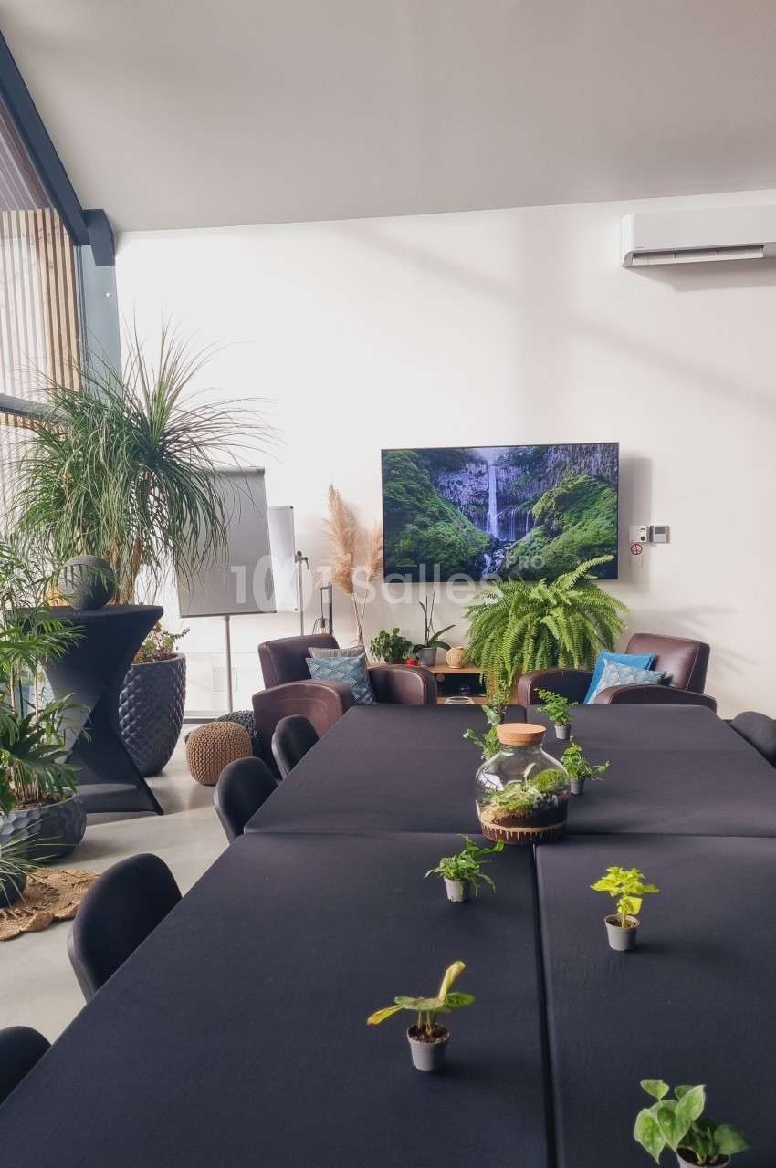 Salle lumineuse avec grande table noire, plantes décoratives, écran affichant une cascade et mobilier moderne.