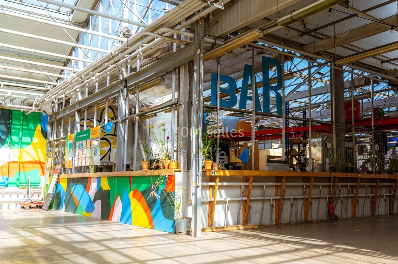 Intérieur lumineux d'un espace industriel réaménagé avec un bar coloré et des plantes décoratives.