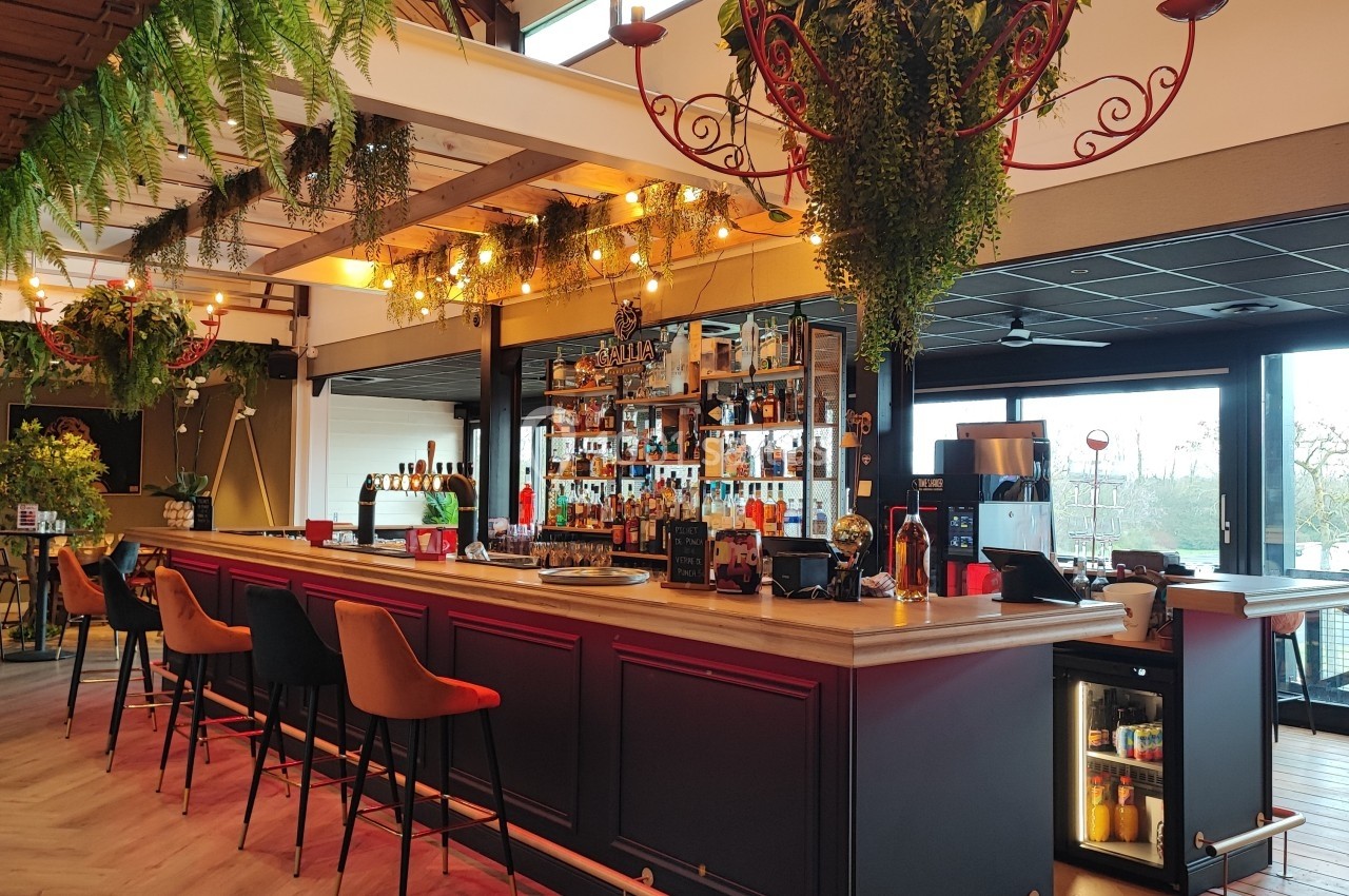 Bar moderne avec comptoir en bois, chaises hautes orange, étagères remplies de bouteilles et plantes suspendues.