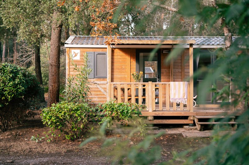 Camping Landae - photo 3