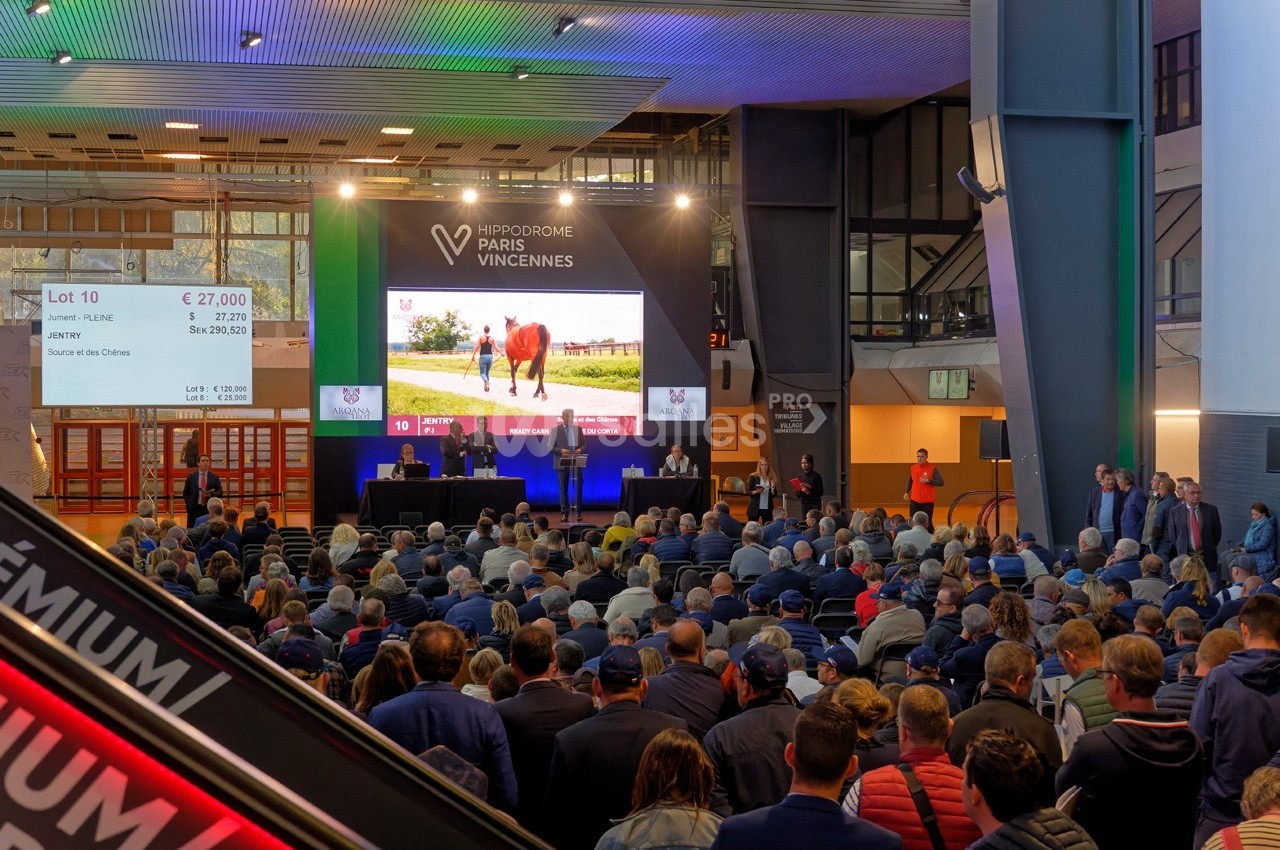 Salle comble lors d'une vente aux enchères de chevaux à l'Hippodrome de Paris-Vincennes, avec un cheval affiché à l'écran.