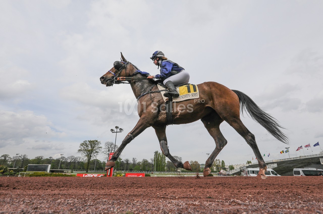 Jockey montant un cheval au galop sur une piste en terre battue, avec un ciel nuageux en arrière-plan.