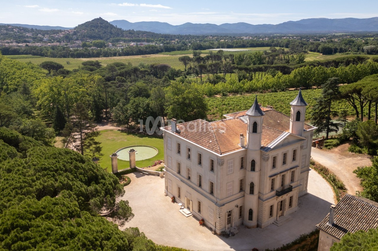 Vue aérienne d'un château entouré de vignes et de forêts, avec des collines en arrière-plan sous un ciel dégagé.