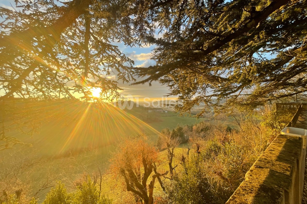 Paysage ensoleillé avec vue sur une vallée verdoyante, encadrée par des branches d'arbres au premier plan.