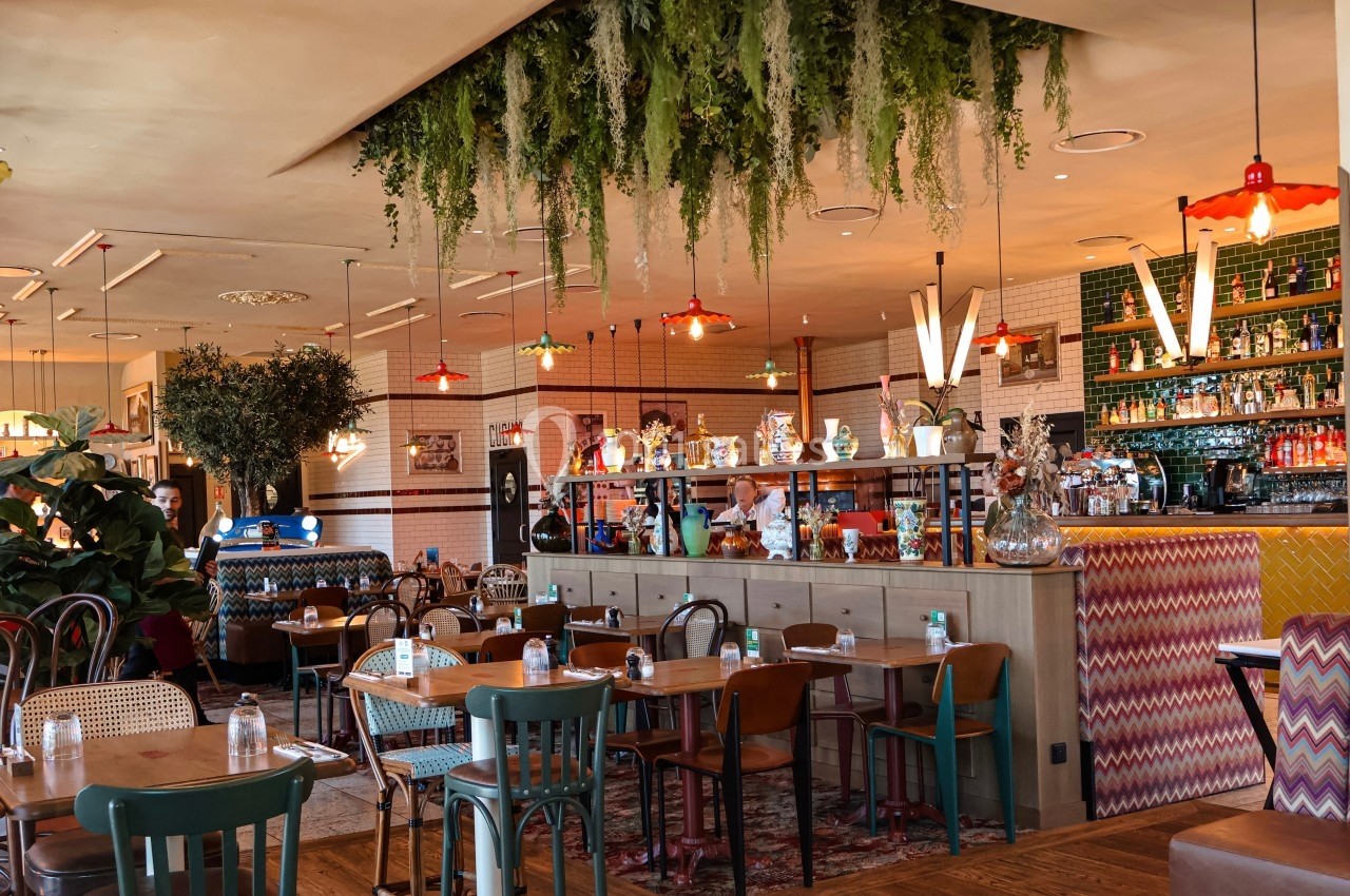 Salle de restaurant lumineuse avec décoration végétale suspendue, mobilier éclectique et bar en arrière-plan.