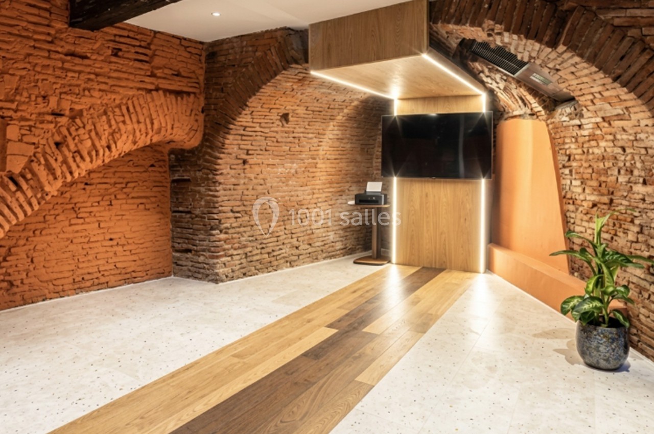 Salle avec murs en briques apparentes, sol en bois et carrelage, écran mural et plante en pot.