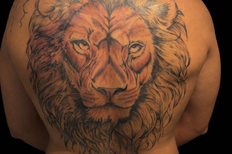 Projet'ink31 - photo 1