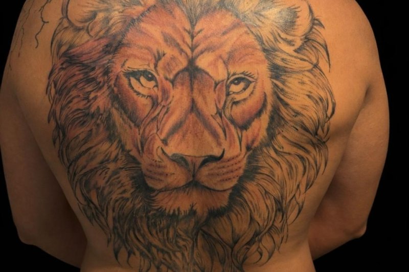 Projet'ink31 - photo 2