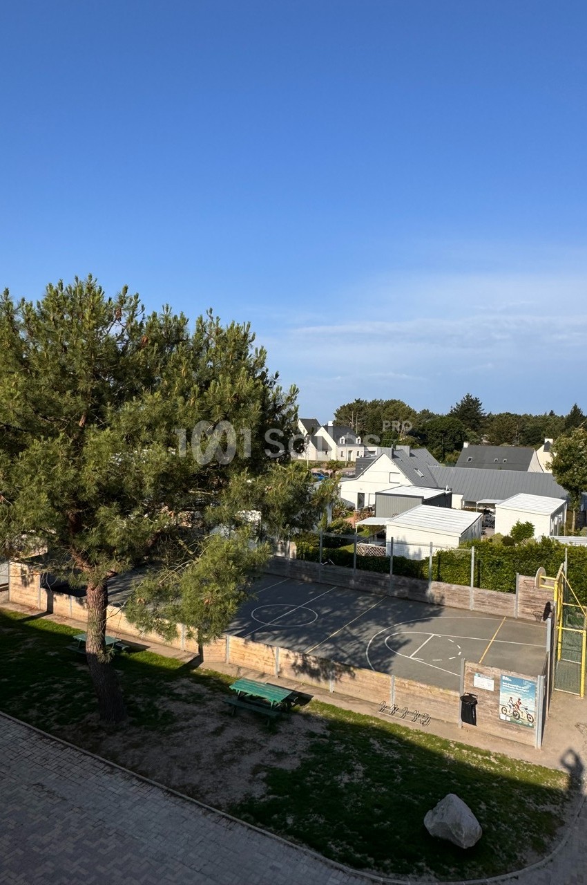 Terrain de sport extérieur avec un panier de basket, entouré d'arbres et de maisons sous un ciel dégagé.