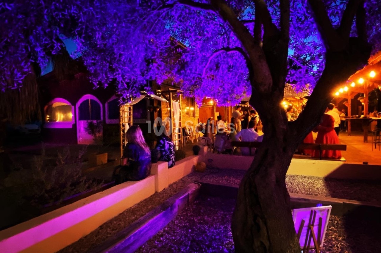 Terrasse extérieure éclairée par des lumières colorées, avec des tables et des personnes assises sous un arbre.