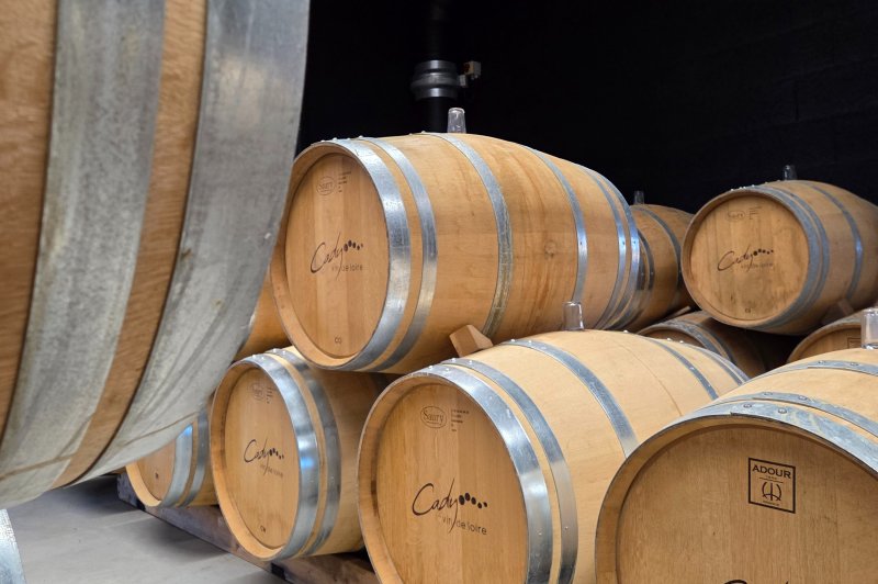 Domaine Cady - photo 5