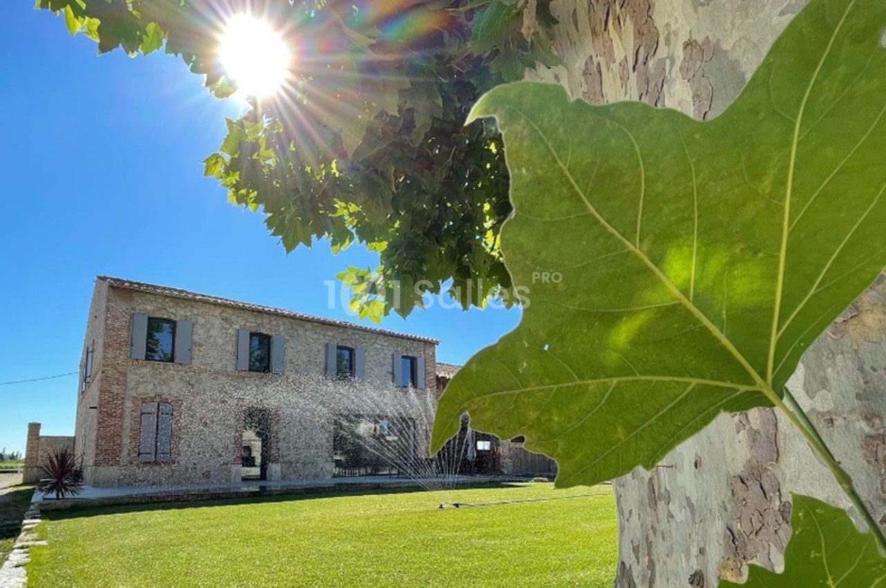 Vue d'une maison en pierre avec un jardin verdoyant, des arbres et un arrosage automatique sous un soleil éclatant.