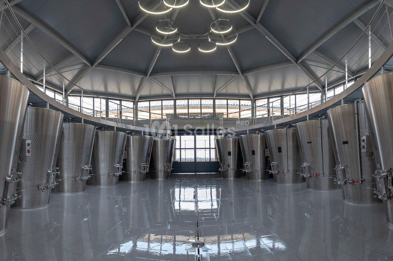 Salle moderne avec cuves en acier inoxydable alignées pour la production de vin, éclairée par des luminaires circulaires.