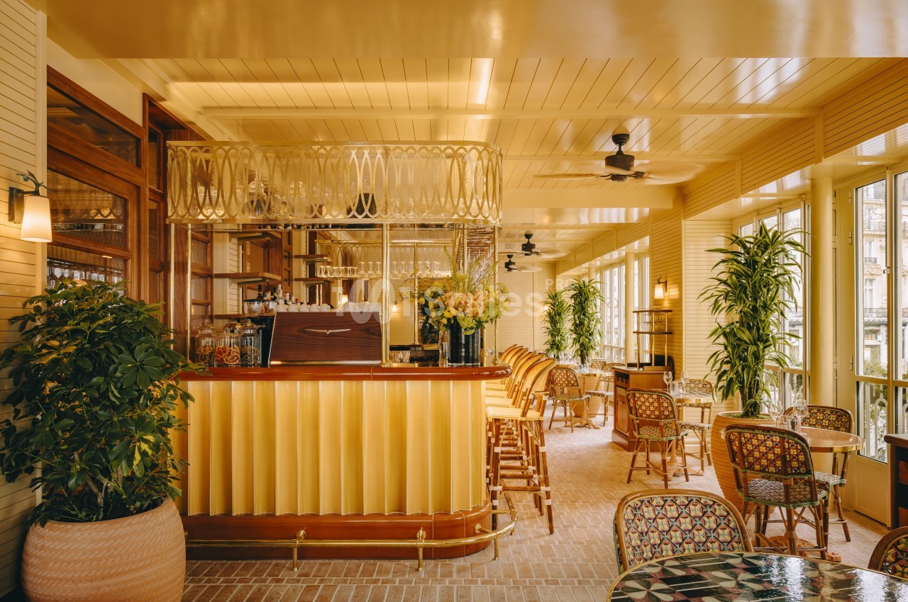 Intérieur lumineux d'un café avec un comptoir en bois, des plantes et des tables entourées de chaises en osier.