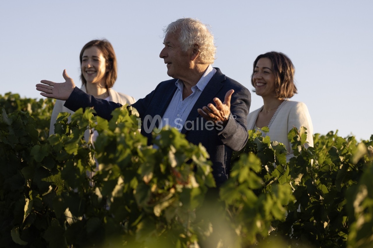 Trois personnes discutent joyeusement dans un vignoble sous une lumière douce en fin de journée.