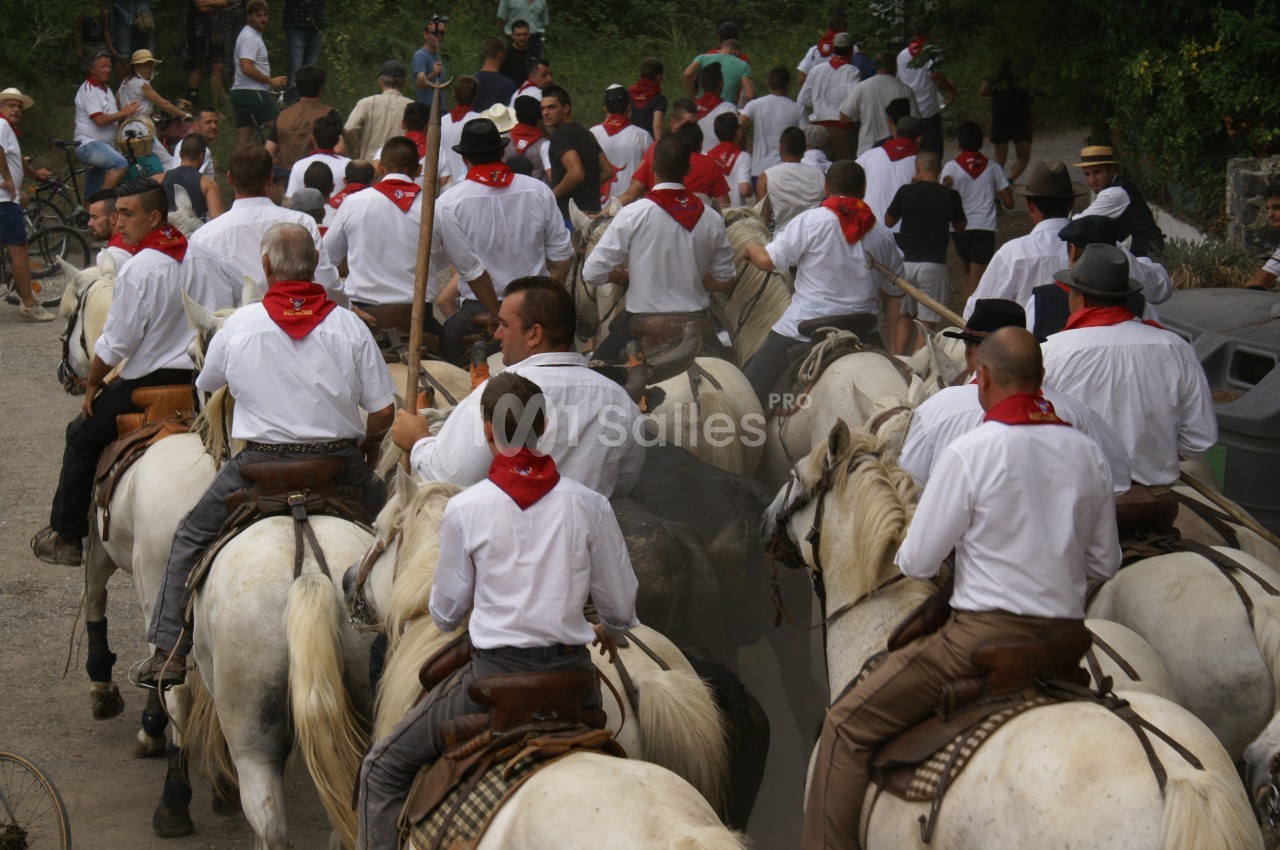 Groupe de cavaliers en chemises blanches et foulards rouges guidant des chevaux dans une rue animée.