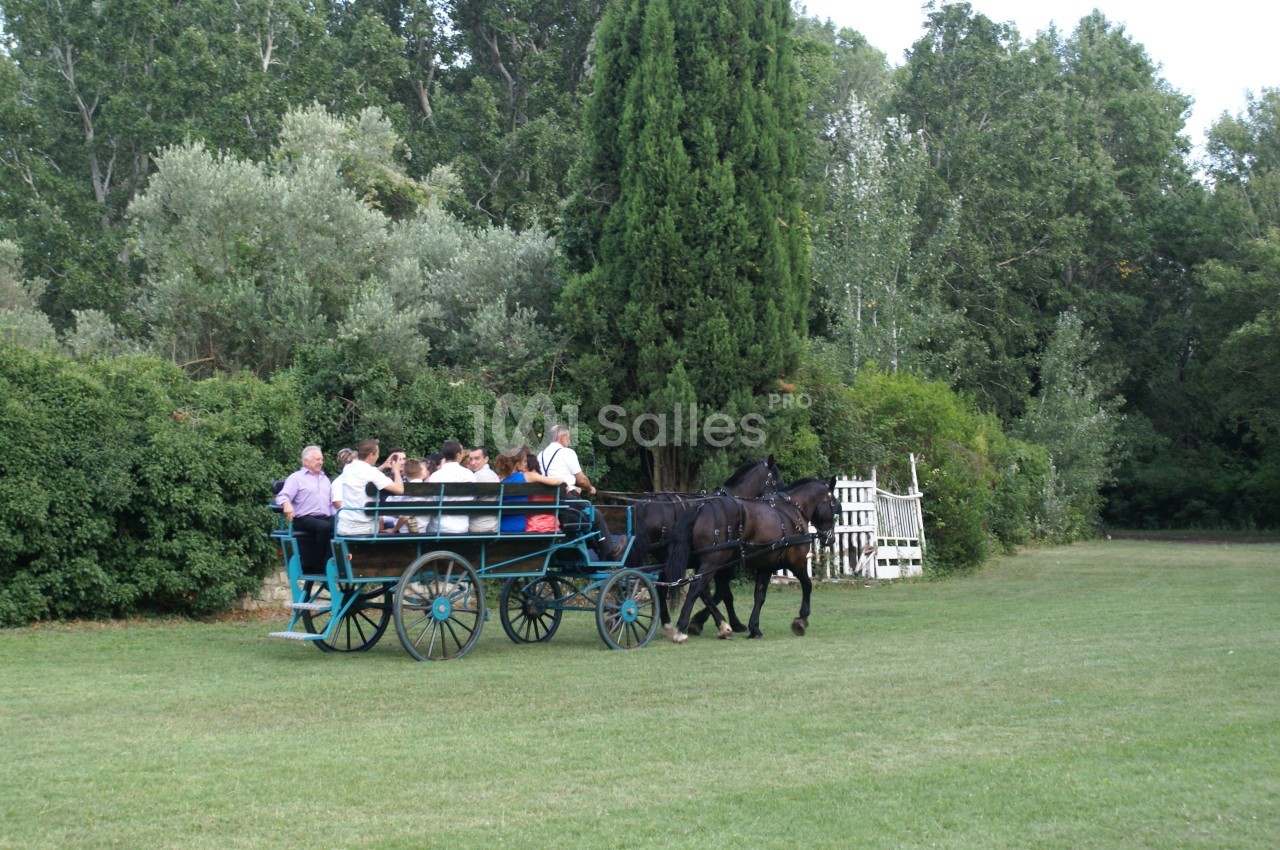 Un groupe de personnes assises dans une calèche tirée par deux chevaux, avançant sur une pelouse entourée d'arbres.