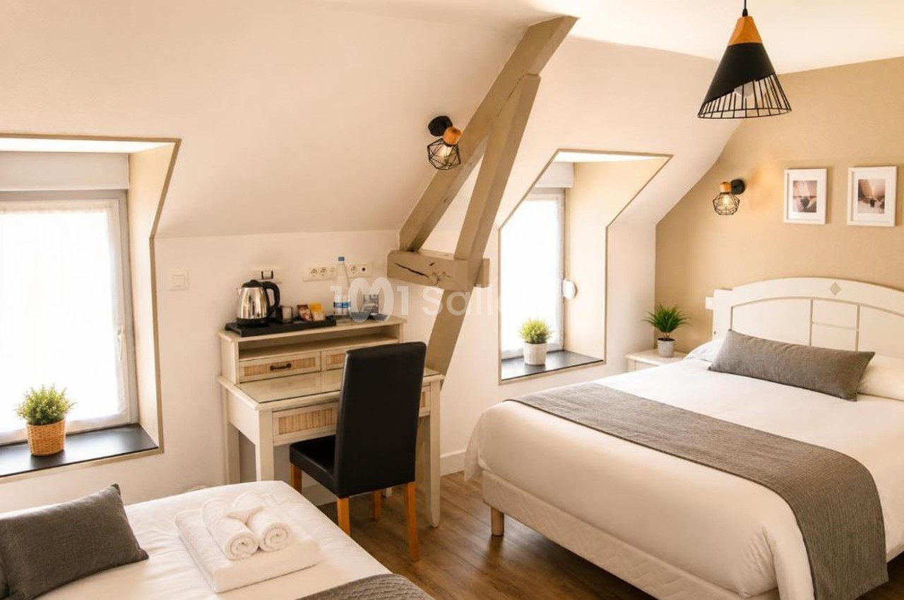 Chambre lumineuse avec deux lits, un bureau équipé d'une cafetière, des plantes et une décoration sobre.