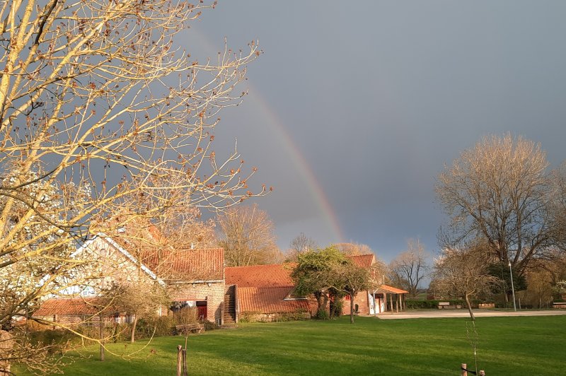 Ferme Holleken Hoeve  - photo 1