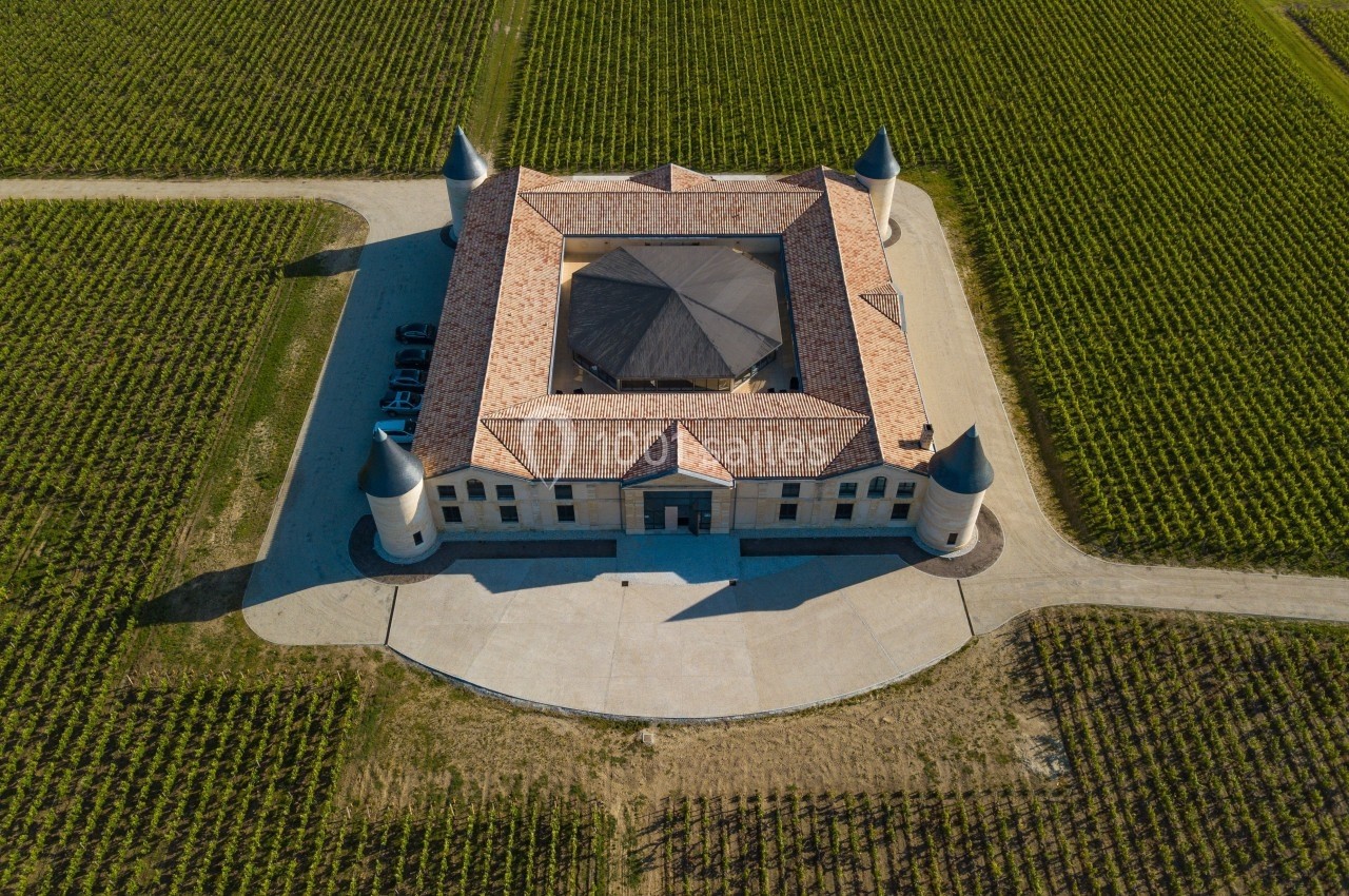 Vue aérienne d'un château carré entouré de vignes, avec quatre tours aux angles et une cour centrale.