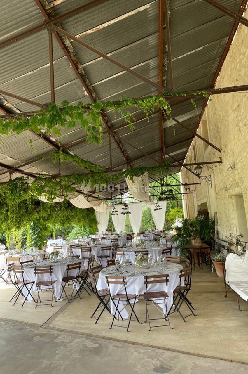 Salle extérieure décorée pour un événement, avec tables dressées, chaises en bois et végétation suspendue.