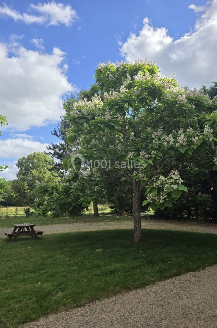 Arbre en fleurs dans un parc verdoyant avec une table de pique-nique en bois sous un ciel partiellement nuageux.