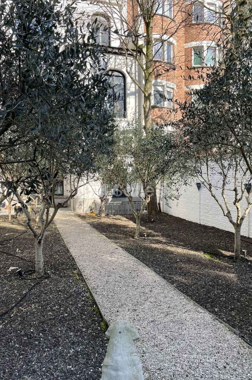 Allée gravillonnée bordée d'arbres dans une cour intérieure avec façade en briques et murs blancs en arrière-plan.