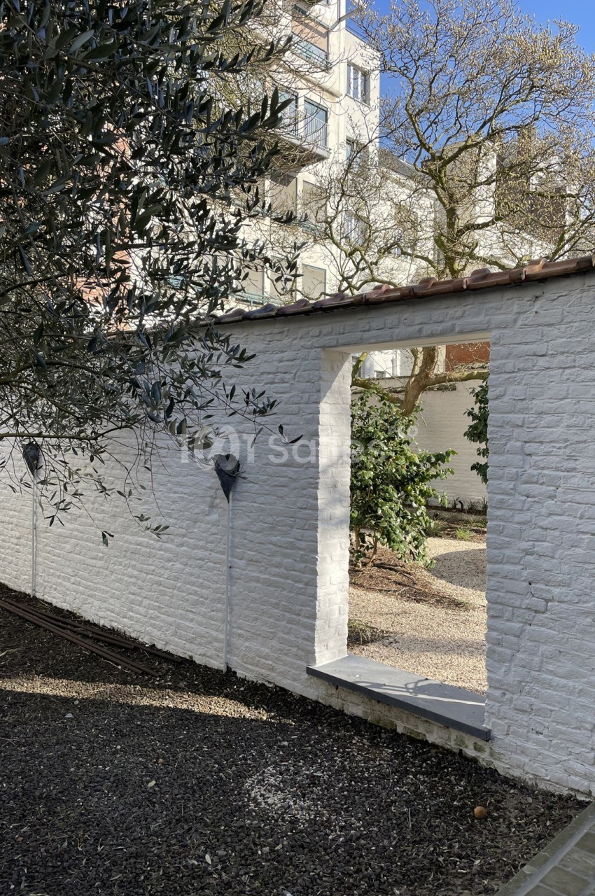 Mur blanc avec une ouverture donnant sur un jardin arboré, éclairé par une lumière naturelle.