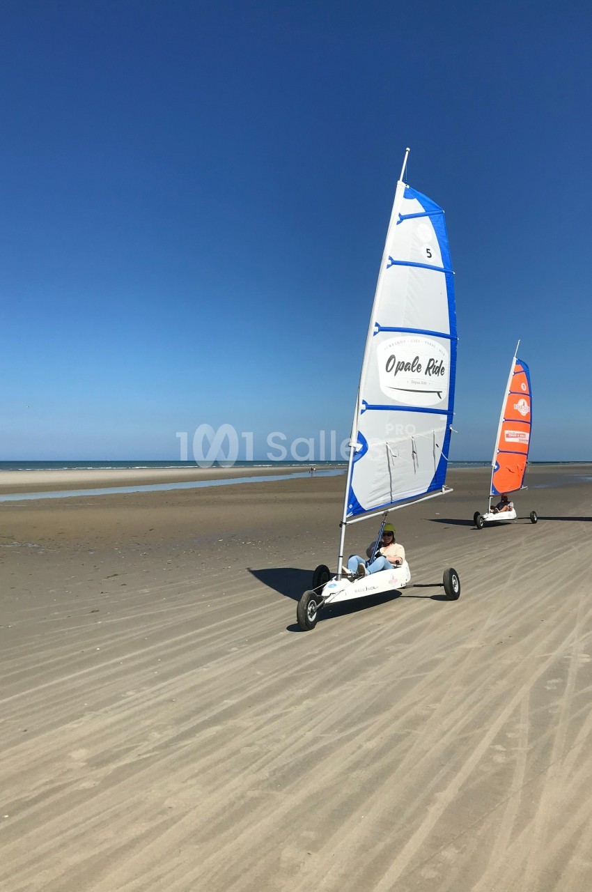 Personnes pratiquant le char à voile sur une plage de sable sous un ciel bleu dégagé.