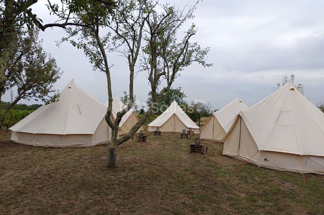 Tentes en toile beige installées sur un terrain herbeux entouré d'arbres par temps nuageux.