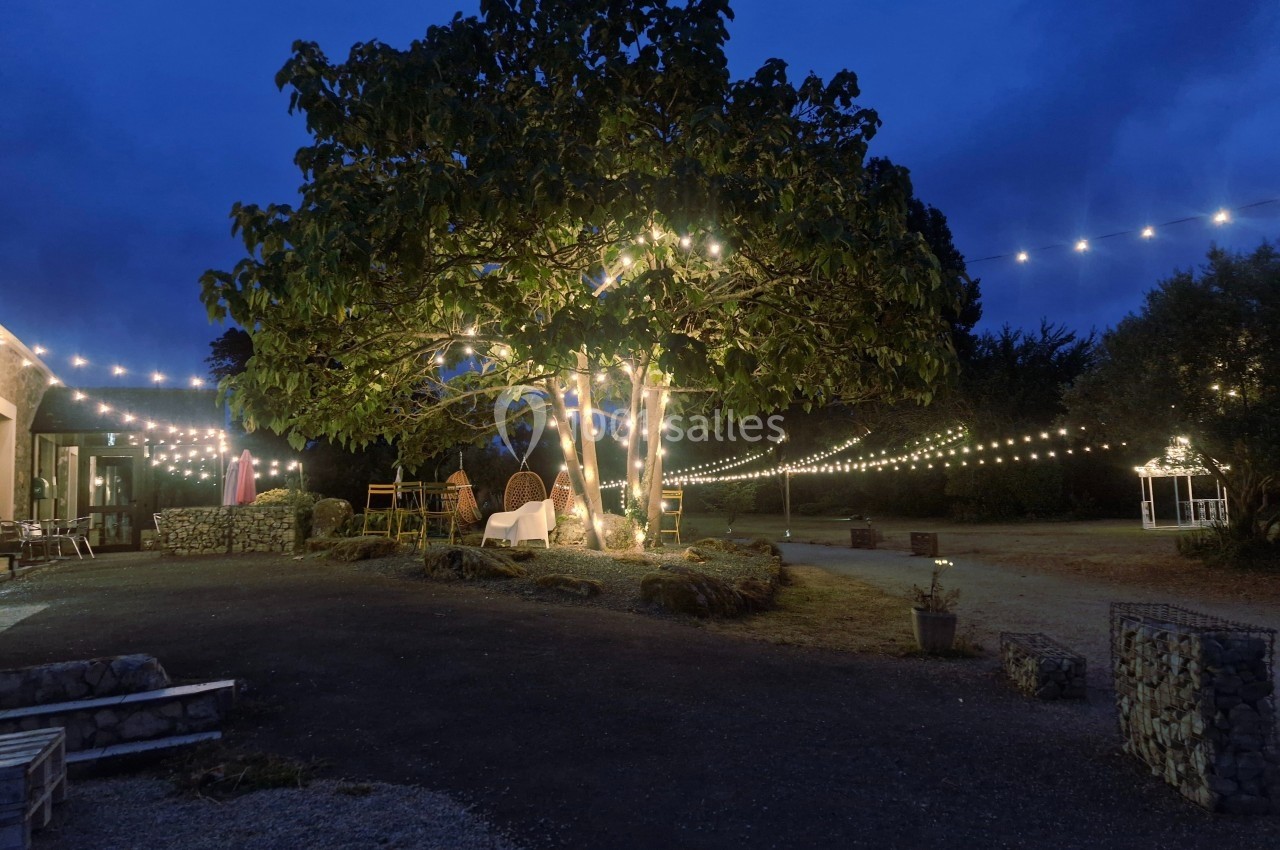 Cour éclairée par des guirlandes lumineuses suspendues, avec un grand arbre central décoré de lumières.