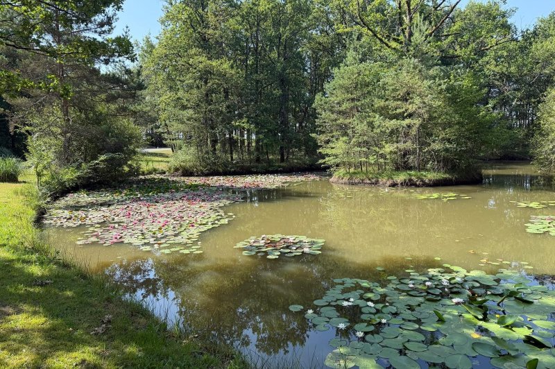 Domaine de la Foret - photo 3
