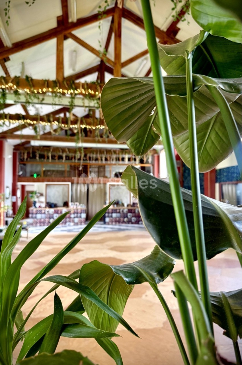 Plantes vertes au premier plan avec une grande salle lumineuse en arrière-plan, ornée de poutres en bois et de guirlandes.