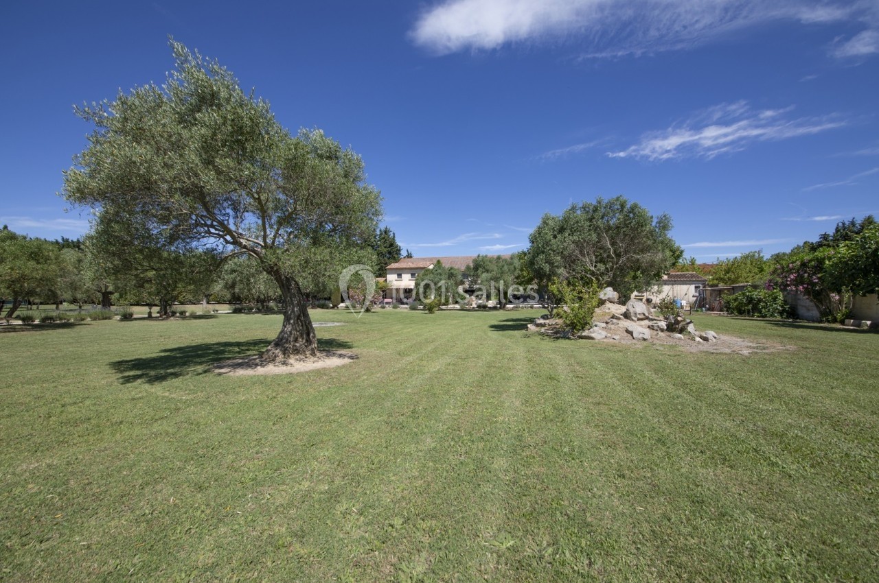 Jardin avec pelouse bien entretenue, arbres, rochers décoratifs et bâtiments en arrière-plan sous un ciel bleu.