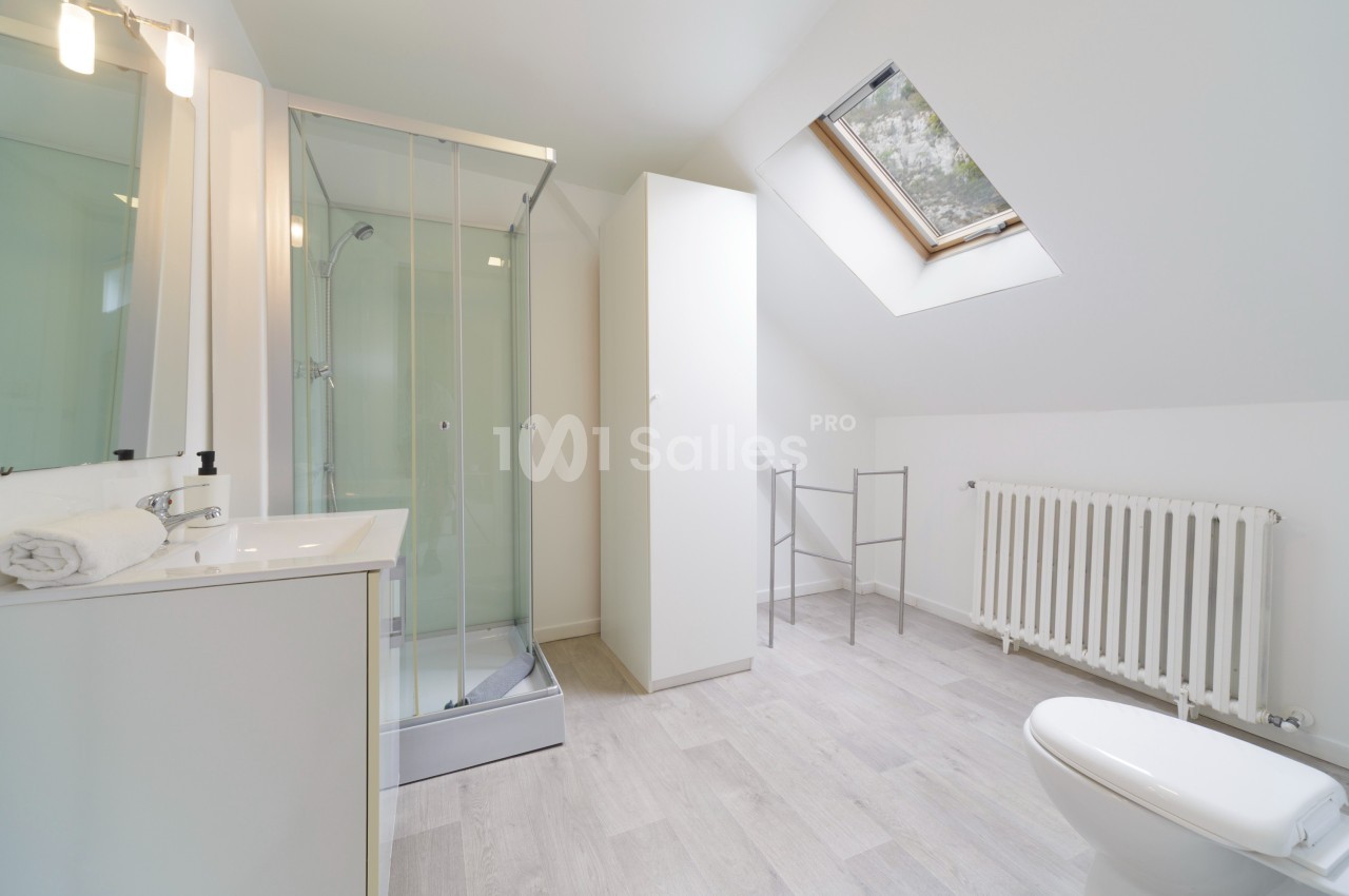 Salle de bain lumineuse avec douche vitrée, lavabo, toilettes, radiateur et fenêtre de toit.