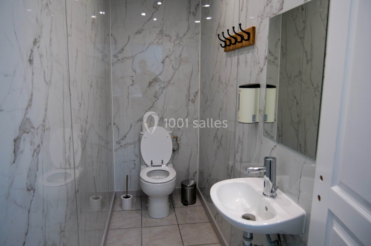 Salle de bain moderne avec murs en marbre, toilettes, lavabo, miroir et porte-manteaux en bois.