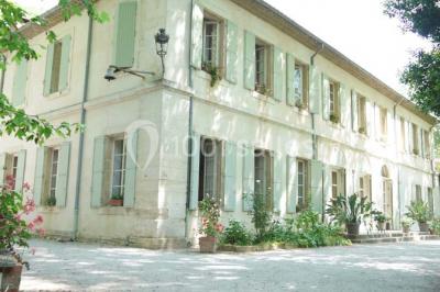 Domaine Le Taleur - photo 2