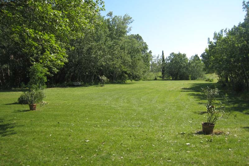 Domaine Le Taleur - photo 5