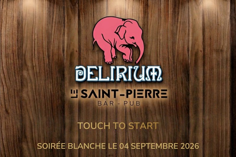 Photobooth Borne à Selfies - photo 4