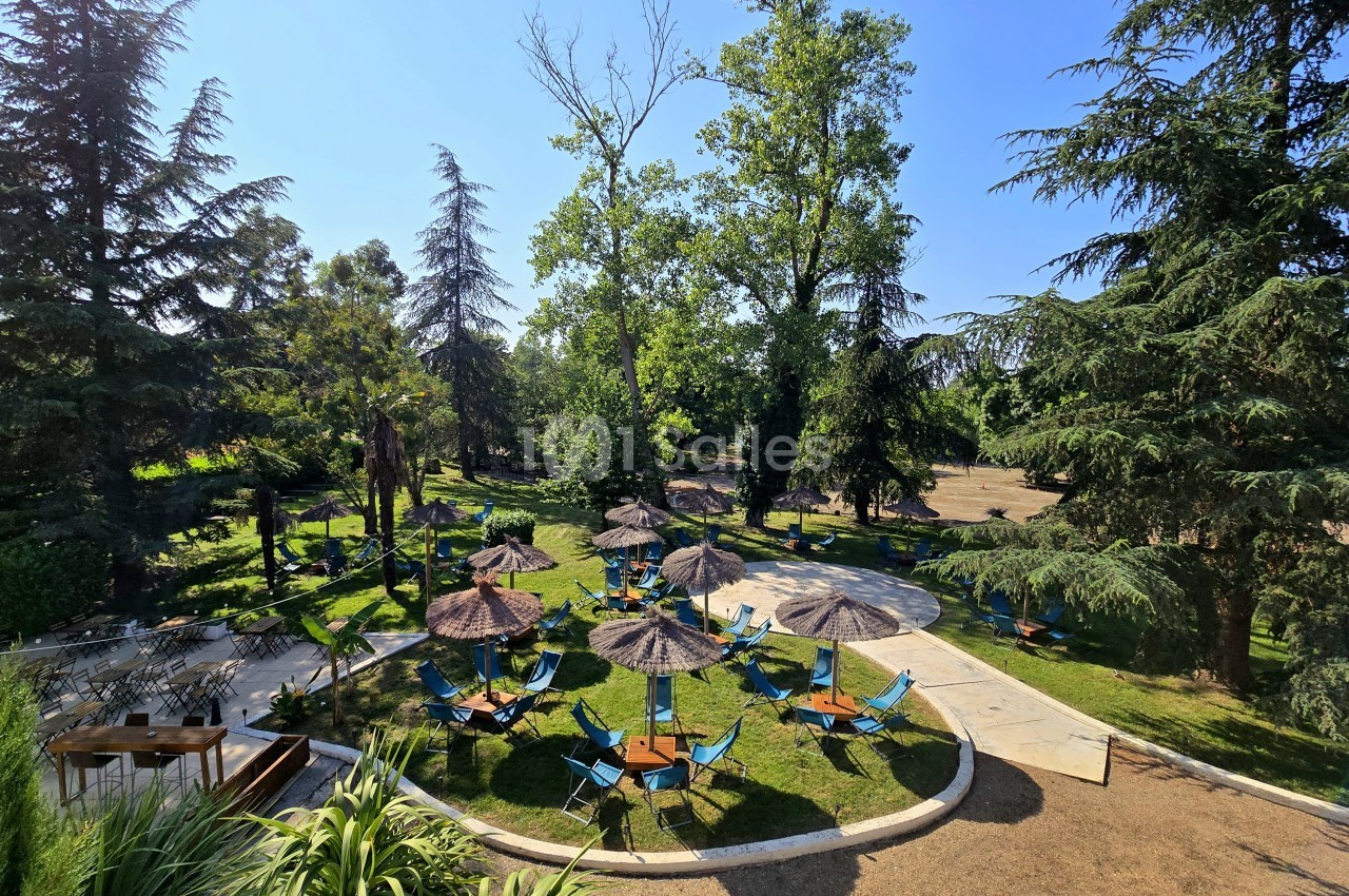 Parc ombragé avec chaises longues bleues sous parasols en paille, arbres matures et pelouse verdoyante.