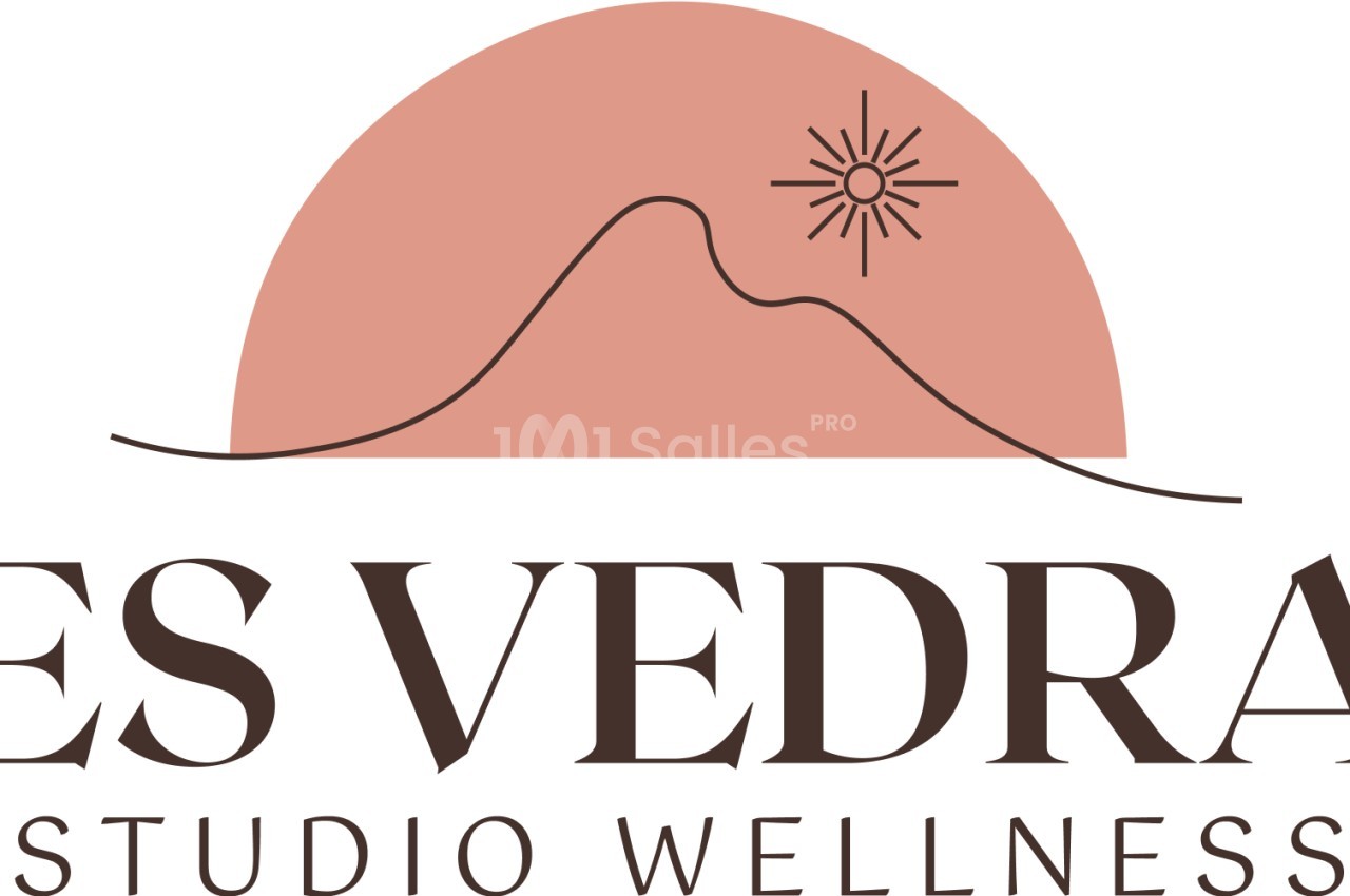 Logo épuré avec montagne stylisée ocre sous soleil, texte "Es Vedra Studio Wellness" en marron.