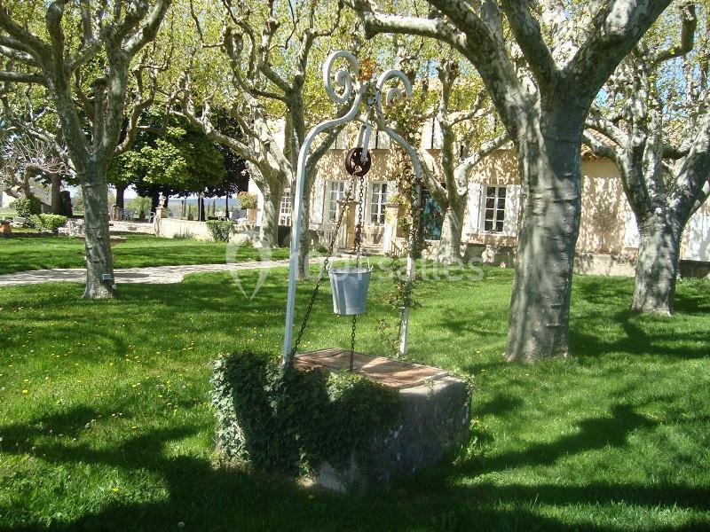Puits en pierre avec un seau suspendu, entouré d'arbres et d'herbe dans un jardin ensoleillé.