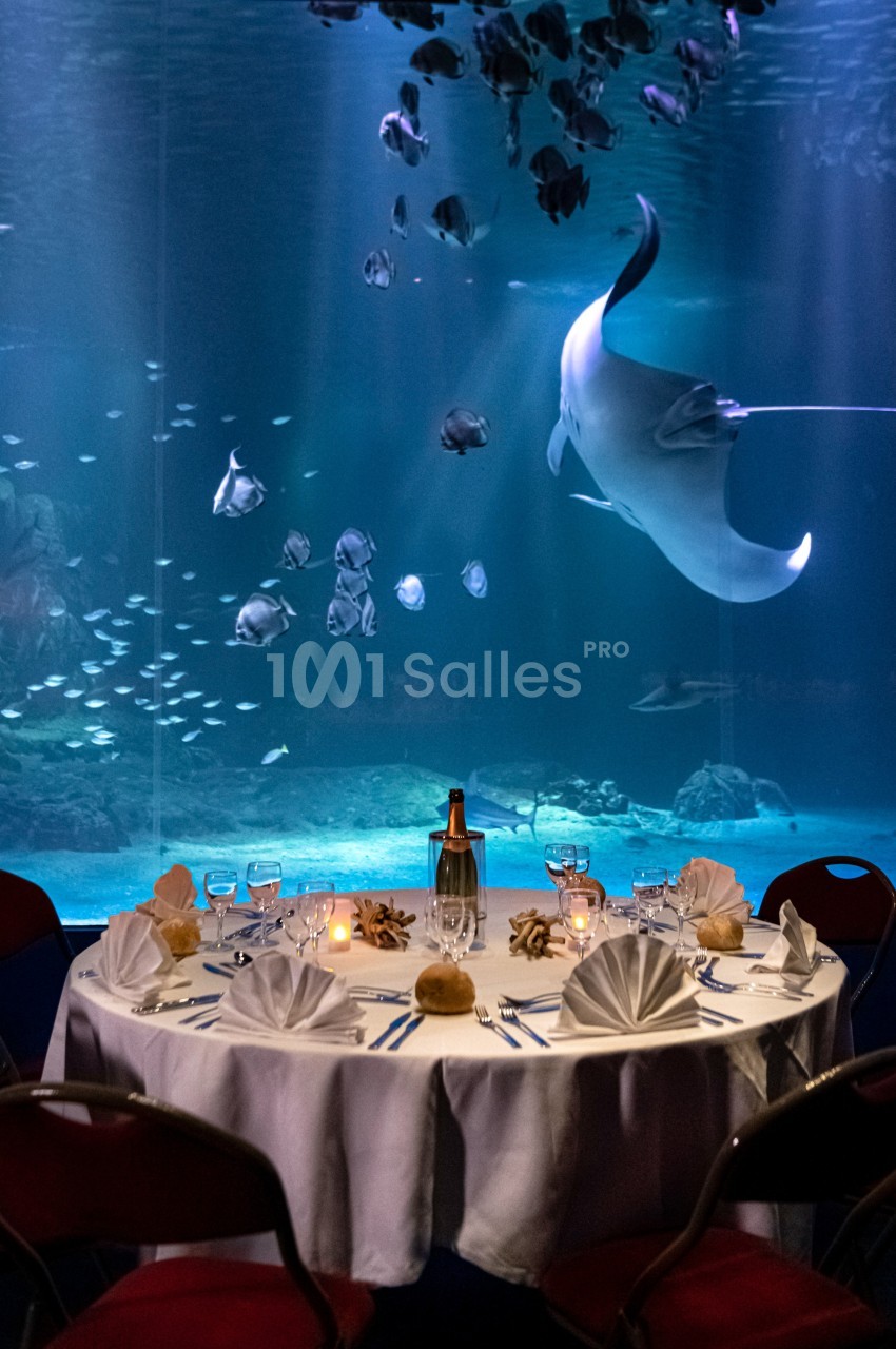 Table dressée pour un dîner face à un grand aquarium avec des poissons et une raie manta nageant en arrière-plan.