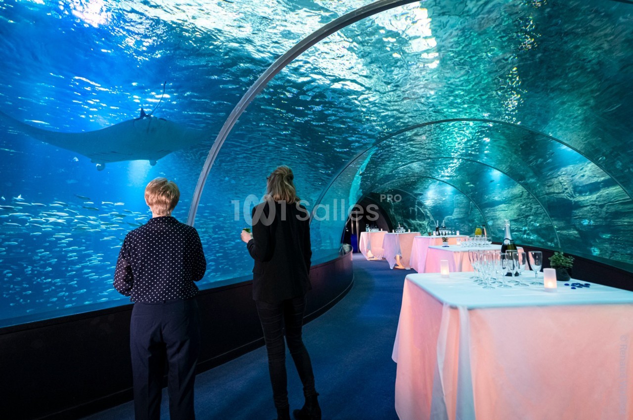 Deux personnes marchent dans un tunnel sous-marin entouré de poissons, avec des tables dressées sur le côté.