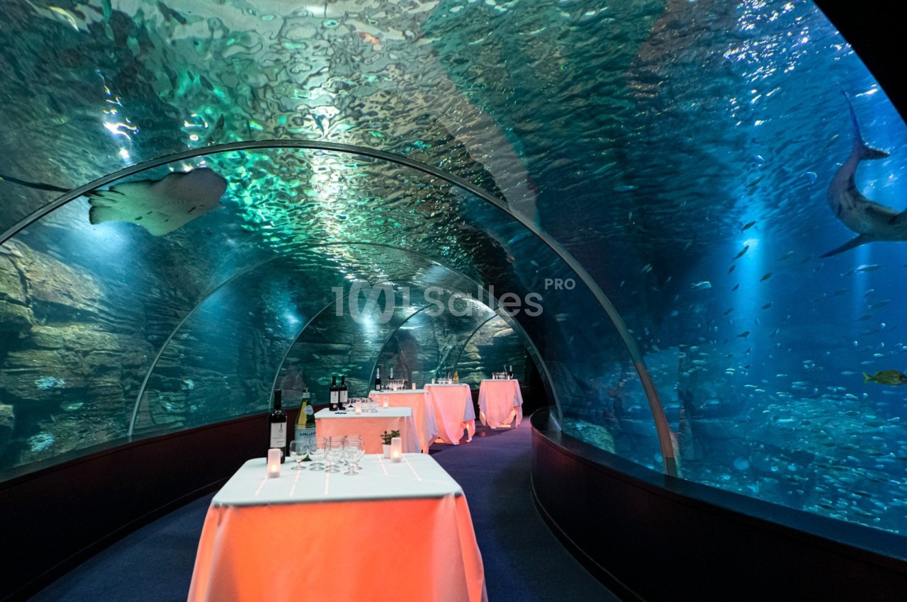 Tunnel sous-marin avec tables dressées pour un repas, entouré de poissons et de raies dans un aquarium éclairé.