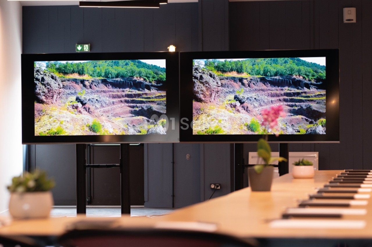Deux écrans affichant un paysage naturel, installés dans une salle de réunion avec des plantes et des tables.