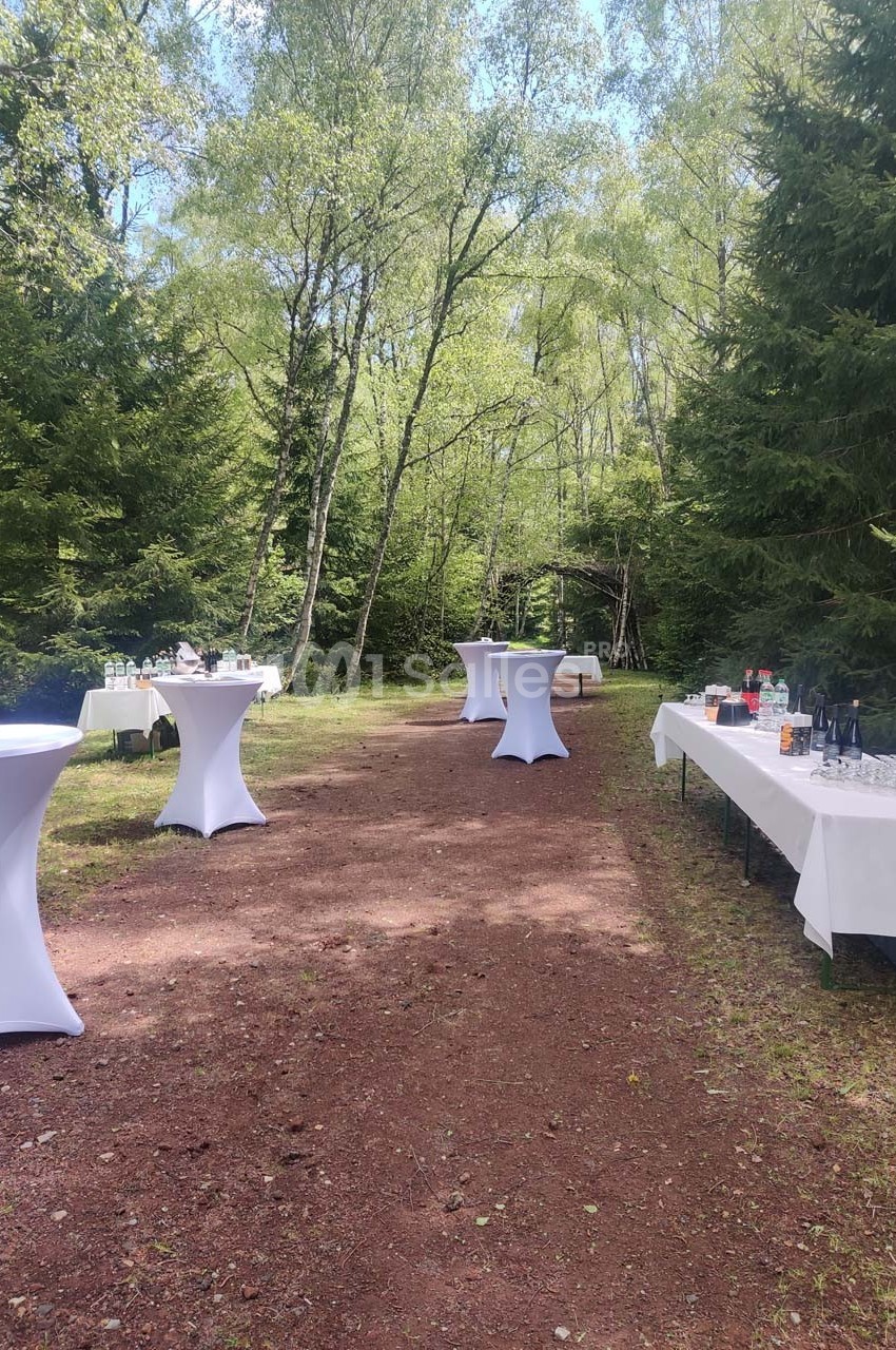 Tables hautes et buffets dressés en extérieur dans une clairière entourée d'arbres, pour un événement en plein air.