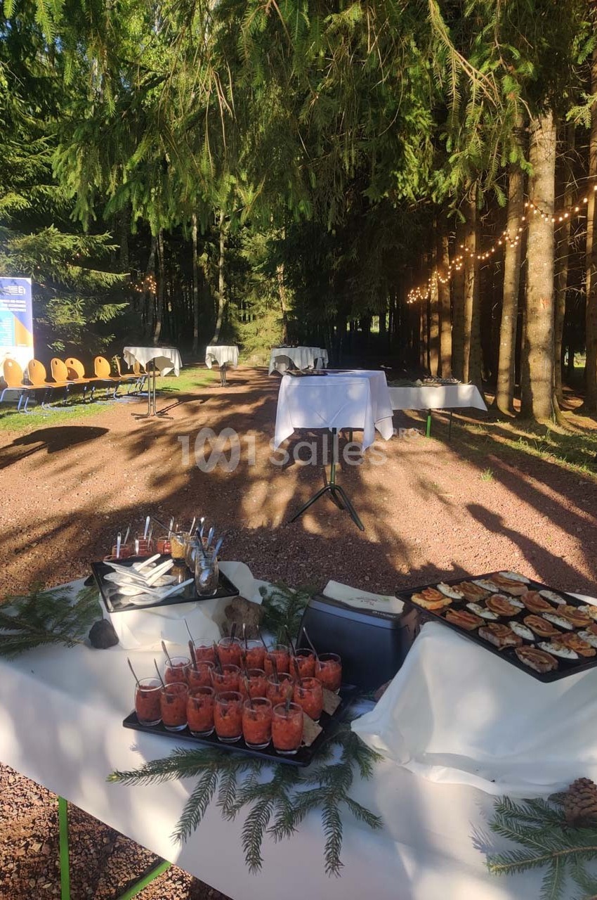 Buffet en extérieur avec verrines et amuse-bouches, installé dans une clairière bordée d'arbres et guirlandes lumineuses.